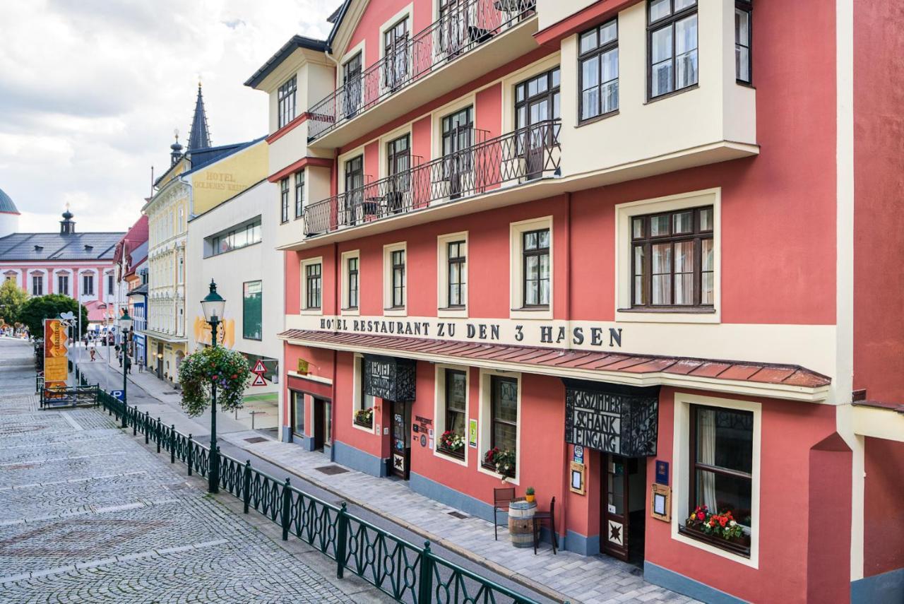 Hotel Drei Hasen Мариацелль Экстерьер фото